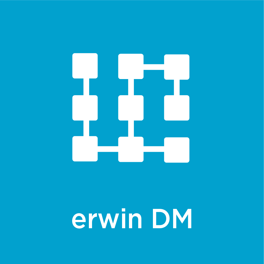 erwin Product Icons 2018 v15 DM 4
