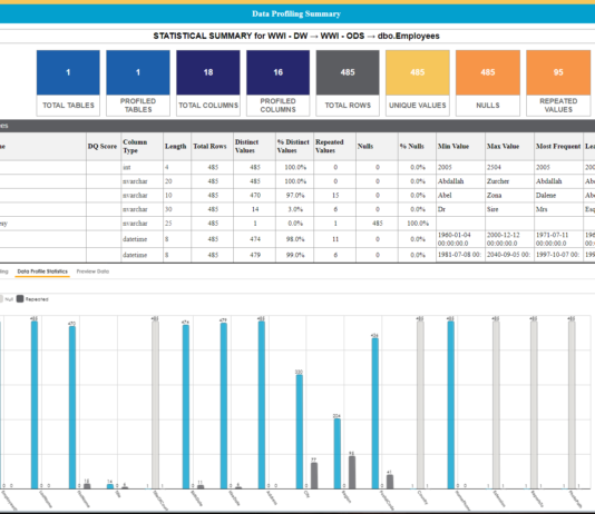 data profiling tools