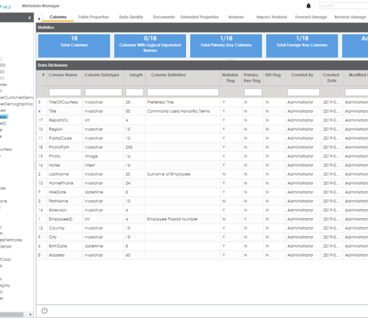 erwin Metadata Manager 1